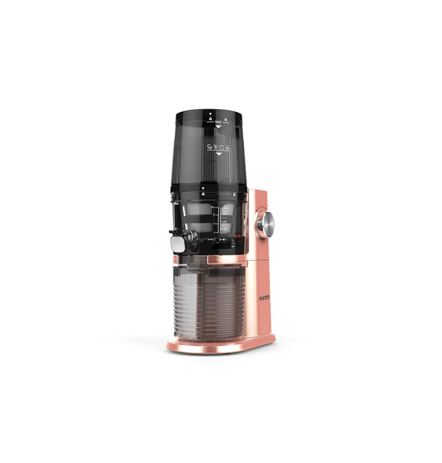 Fruit juicer