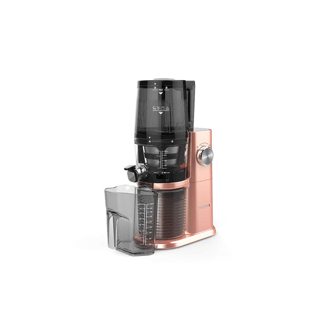 Fruit juicer